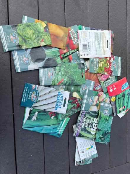 Photo of free Seeds (Dunstable LU6) #1