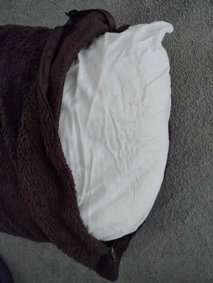 Photo of free Large cushion (never had but can used as a dog bed?) (Stopsley LU2) #2