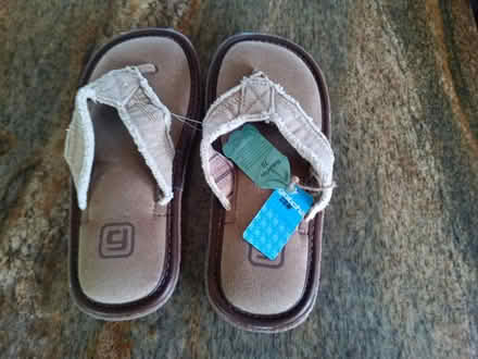 Photo of free Flip flops (winchester) #1