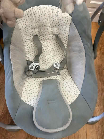Photo of free Baby swing (South Norwood SE25) #3