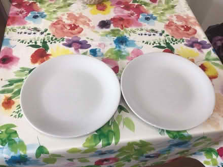 Photo of free Serving/Large Plates (Leasowe CH46) #1