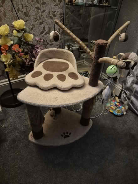 Photo of free Cat scratcher (Sheffield) #1