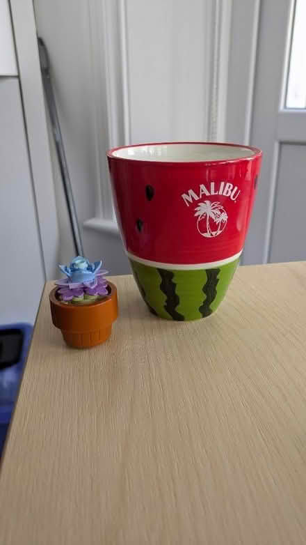 Photo of free Watermelon print mug (Dyke Road area BN3) #3