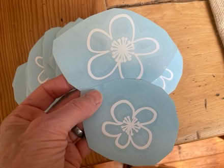 Photo of free flower decals (leslieville/little india) #1
