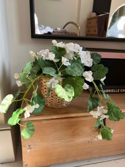 Photo of free Artificial pot plant (St Margarets TW1) #1