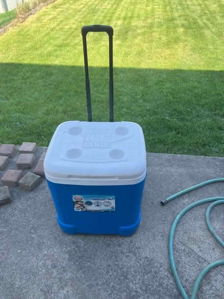 Photo of free Igloo cooler (Bensenville) #1