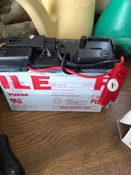 Photo of Battery charger for child’s 6 Volt outdoor ride on toy (Willaston CH64) #2