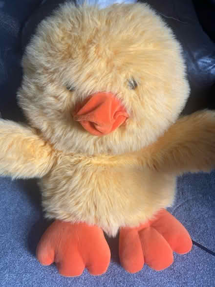 Photo of free Cuddly toy (Sawley NG10) #1