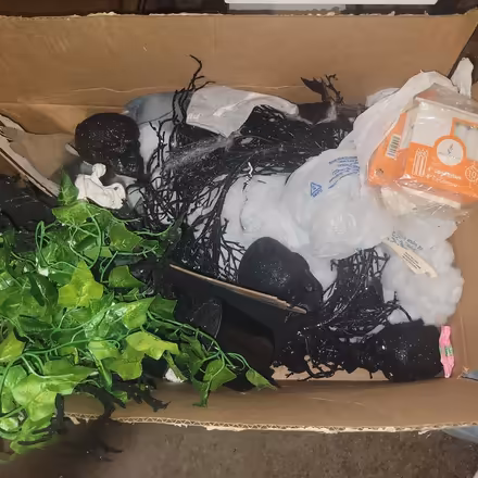 Photo of free Curb Alert: 557 Lebaum SE (SE Washington D.C.) #1