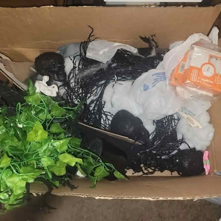 Photo of free Curb Alert: 557 Lebaum SE (SE Washington D.C.) #1