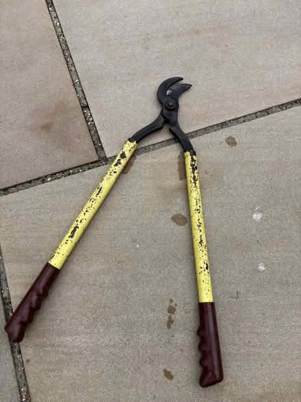 Photo of free Garden loppers (Bexleyheath DA6) #1