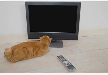 Photo of tv (near hwy 50 sac to placerville) #1