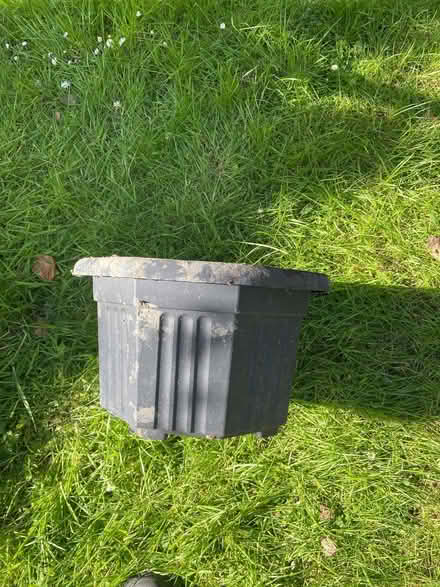Photo of free Large planter (Helensburgh G84) #1