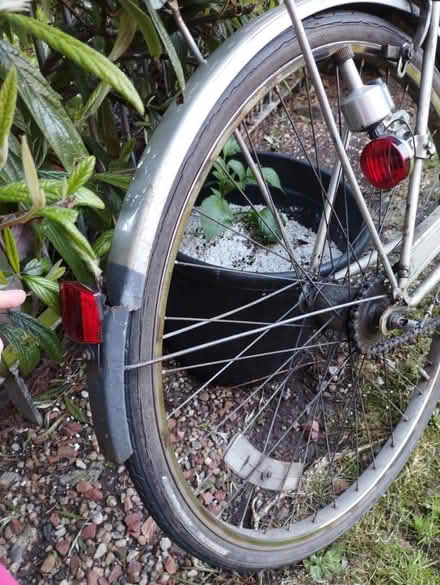 Photo of free Bicycle (G42 9RW) #3