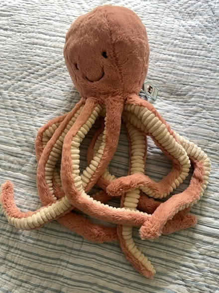 Photo of free soft octopus stuffed animal (Davis Sq) #1