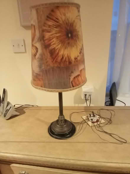Photo of free Table lamp (Polegate BN26) #1