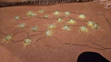 Photo of free Heart shaped fairy lights (Springfield CM1) #1