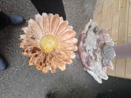 Photo of free Ornaments for garden (Yaxley PE7) #1