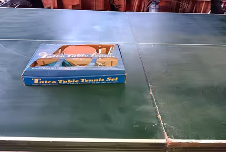 Photo of free Ping pong table (City of Chelsea) #3