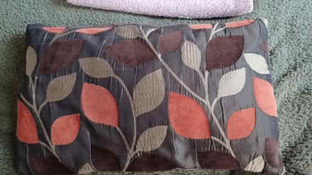Photo of free Brown leafy cushion (Locking Castle BS22) #1
