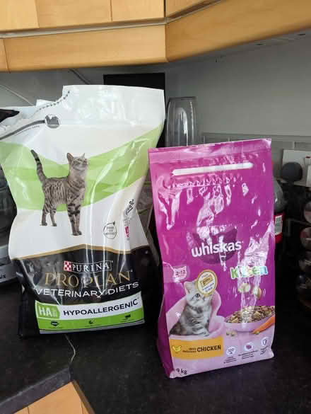 Photo of free Dry cat/kitten food (Princes Risborough HP27) #1