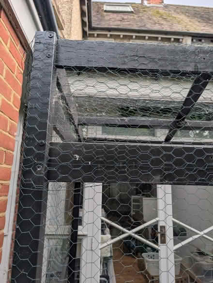 Photo of free Catio (NW11 Temple Fortune) #4