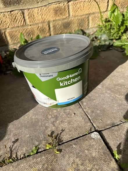 Photo of free white paint (Abingdon OX14) #2