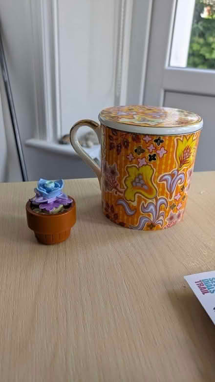 Photo of free Mug with tea strainer and lid (Dyke Road area BN3) #1