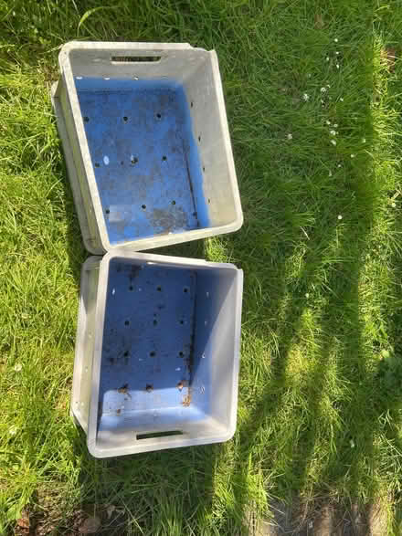 Photo of free Plastic crates (Helensburgh G84) #1