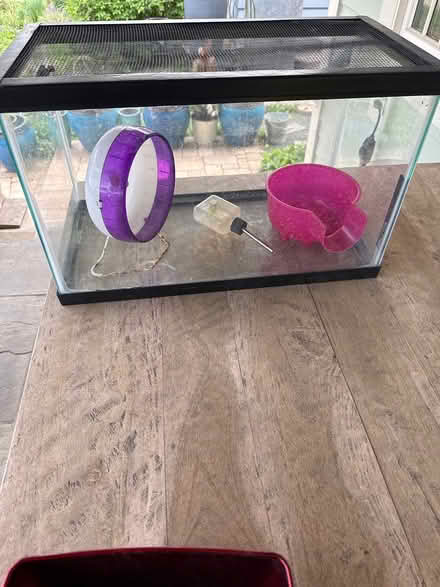 Photo of free Pet supplies (SW Hinsdale) #1