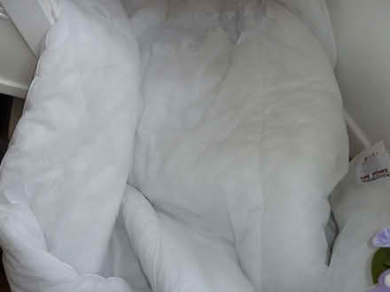 Photo of free Double Duvet (Dove Holes SK17) #1