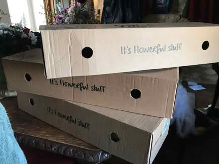 Photo of free Packing boxes - various sizes (Kidlington OX5) #1