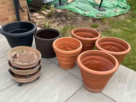 Photo of free Various Large plant/shrub pots/tubs (Hunstanton PE36) #2