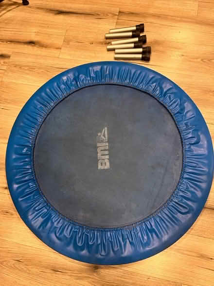 Photo of free Mini trampoline (60015) #1