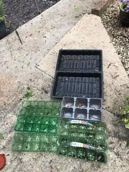 Photo of free Various seed trays (Westbury BA13) #1