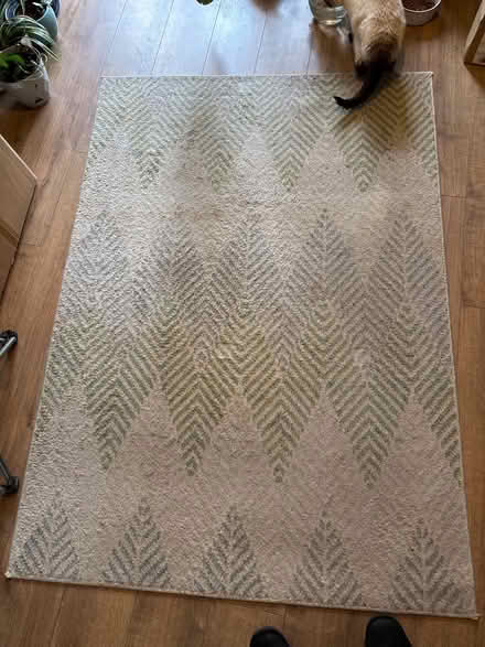 Photo of free 120 x 180 area rug (Limehouse E1) #3