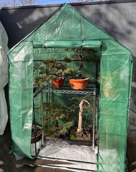 Photo of free Mini greenhouse (Porter Square, Cambridge) #1