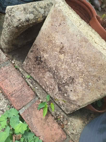 Photo of free Stone bird bath (Forestgreen) #1