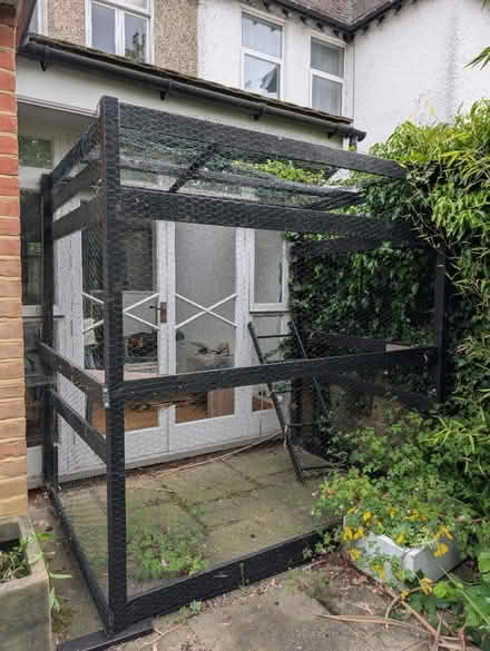 Photo of free Catio (NW11 Temple Fortune) #3