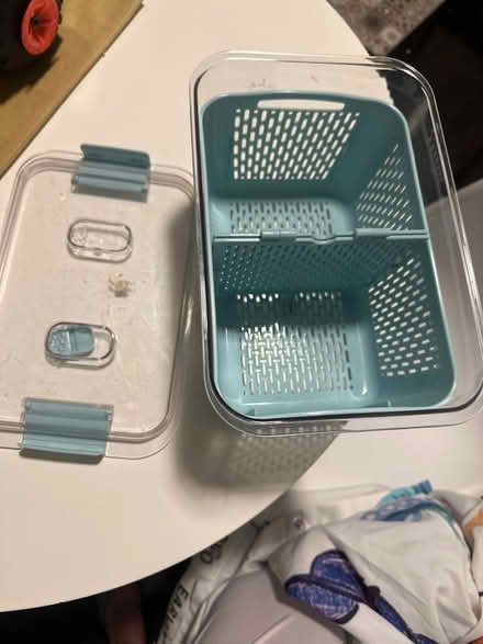 Photo of free Fridge organizer (Alameda) #1