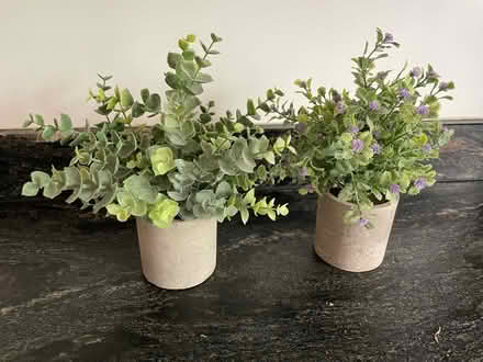 Photo of free Two fake plant pots (HD1, Huddersfield) #1