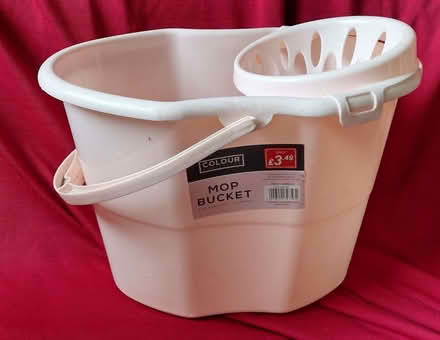 Photo of free plastic mop bucket & mops (West Marina TN38) #1