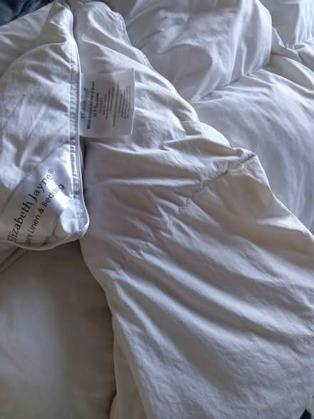 Photo of free Feather filled king size duvet (Lower Morden SM4) #3