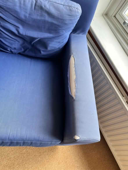 Photo of free Blue armchair (Roundhay LS8) #3