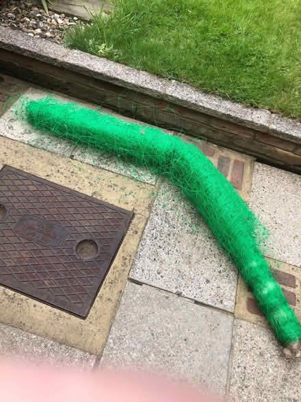 Photo of free Garden netting (IP1) #1