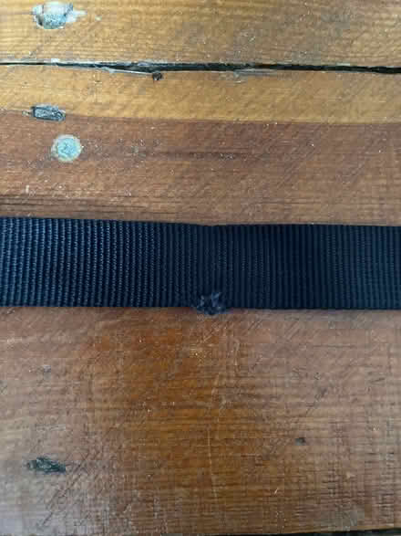 Photo of free Dog lead (Woodlands TW7) #2