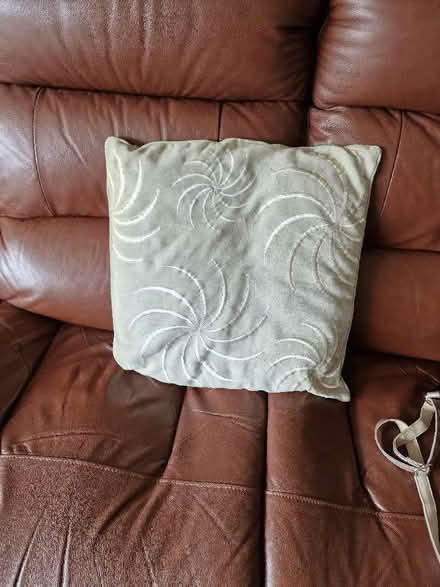 Photo of free Cushions. Very pale green, with golden pattern. In good cond (Birkby HD2) #1