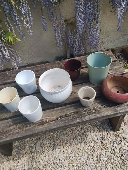 Photo of free Plant pots (Edginswell TQ2) #1