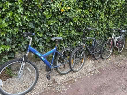 Photo of free 3 x adult bikes (Boughton Monchelsea) #1