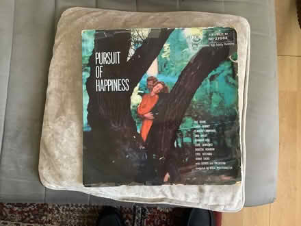 Photo of free Pursuit of happiness (Crewkerne TA18) #1